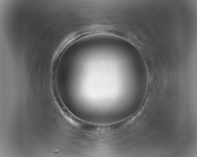 X0000053090101200507251615