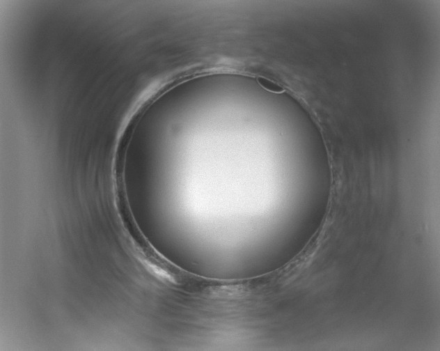 X0000053090102200507251615