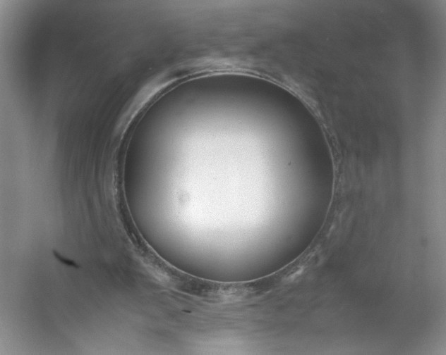 X0000053090103200507251615