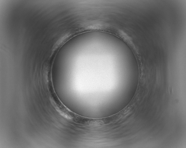 X0000053090106200507251615