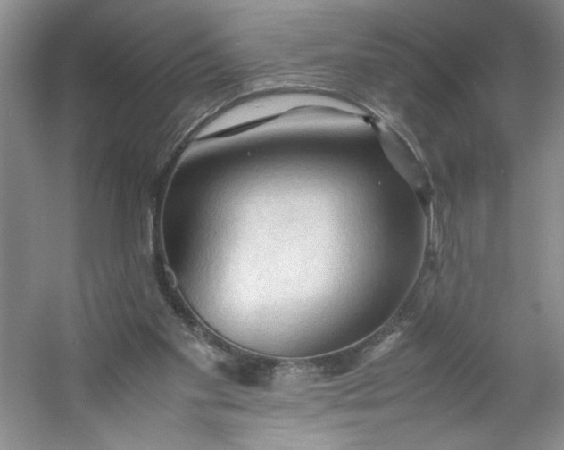 X0000053090109200507251615