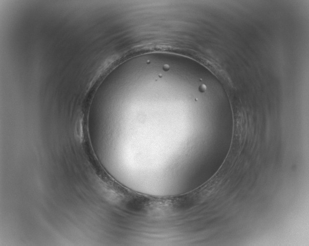 X0000053090110200507251615