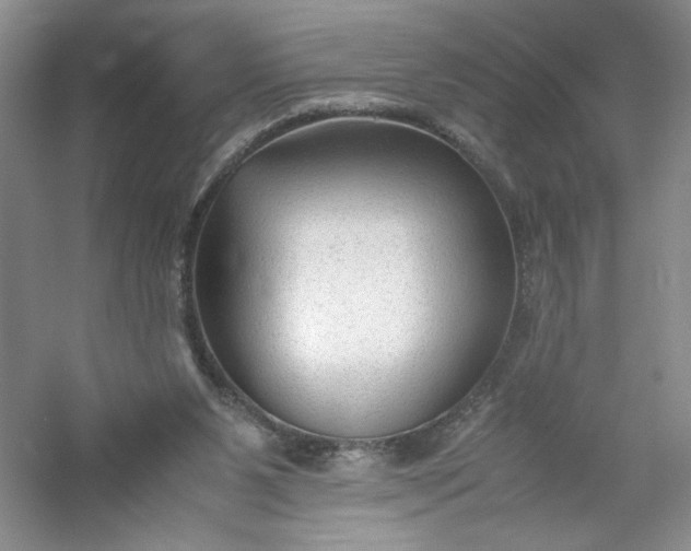 X0000053090111200507251615