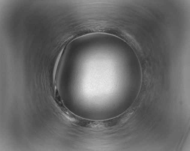 X0000053090113200507251615