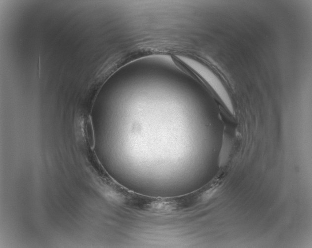 X0000053090117200507251615