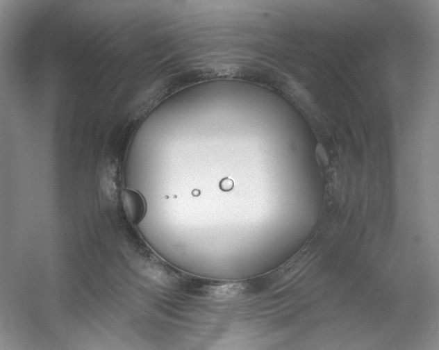 X0000053090122200507251615