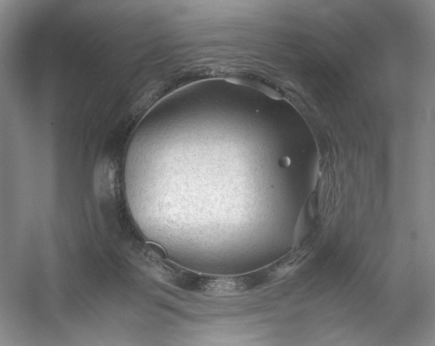 X0000053090123200507251615