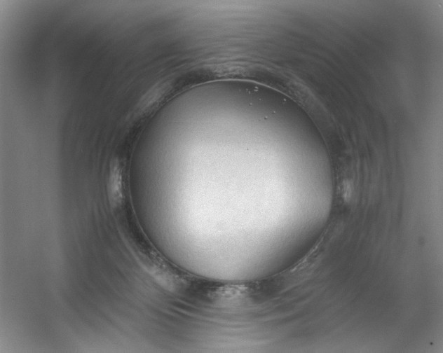 X0000053090124200507251615