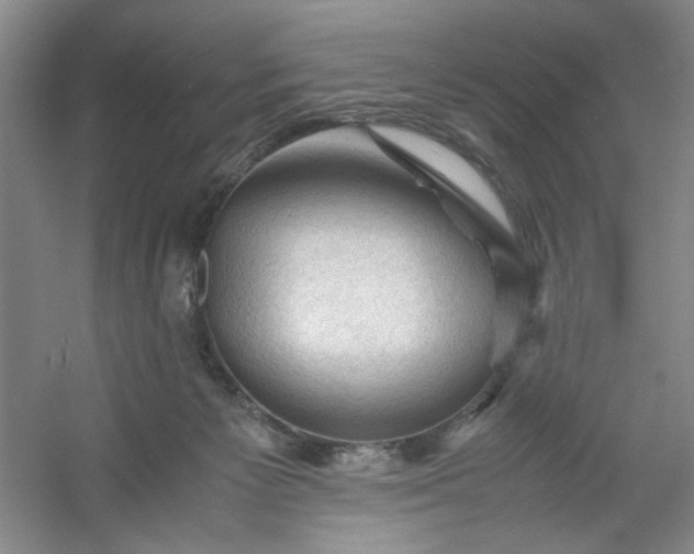 X0000053090125200507251615