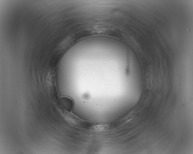 X0000053090126200507251615