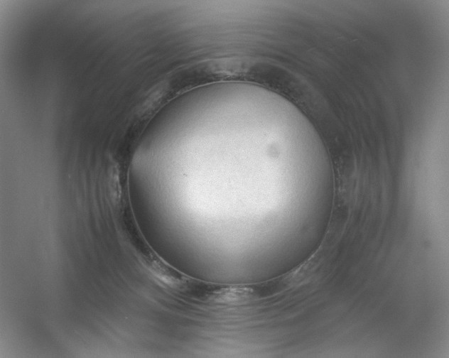 X0000053090128200507251615