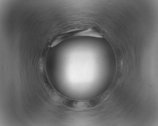 X0000053090129200507251615