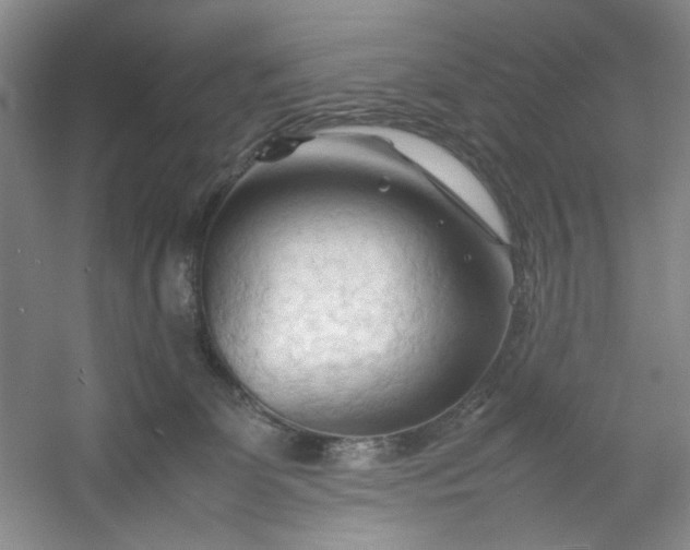 X0000053090131200507251615