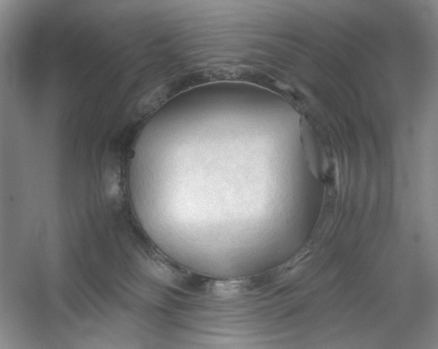 X0000053090134200507251614