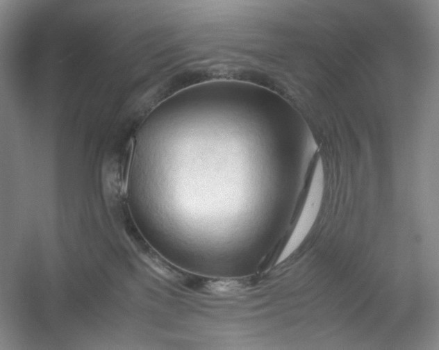 X0000053090137200507251614