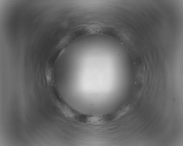 X0000053090139200507251614