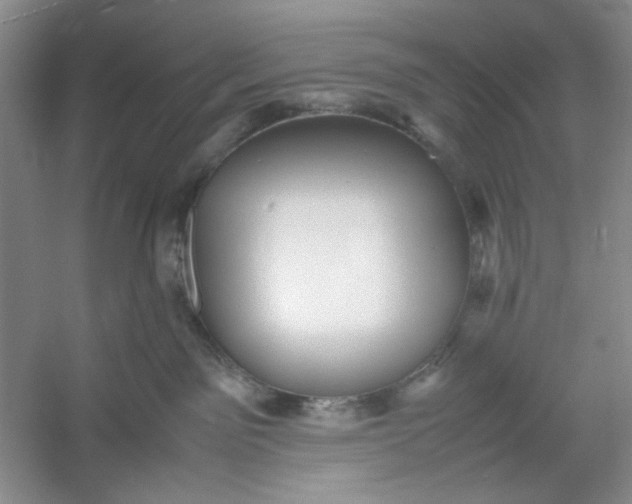 X0000053090141200507251614