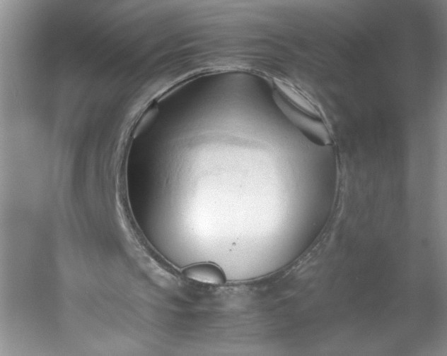 X0000053090145200507251613