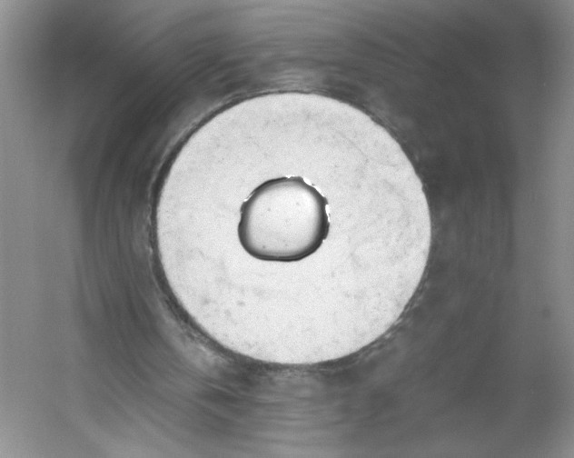 X0000053090146200507251613