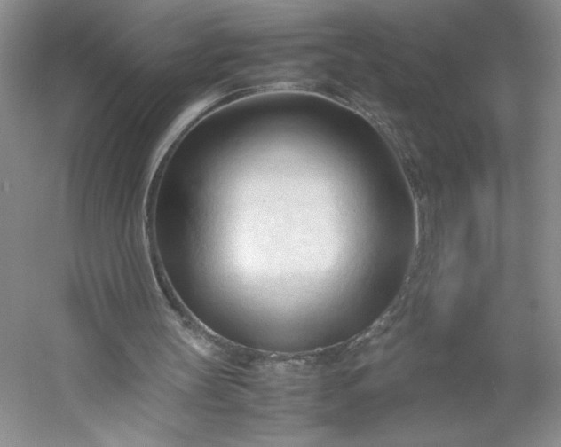 X0000053090147200507251614