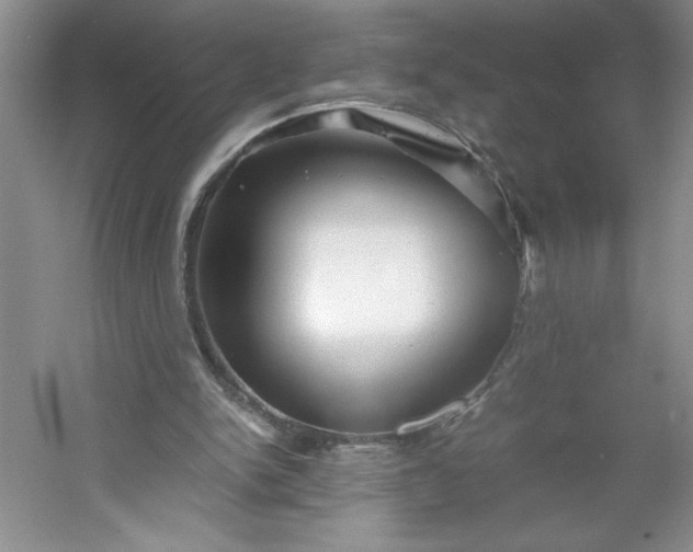 X0000053090150200507251614