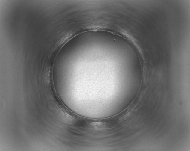 X0000053090153200507251614