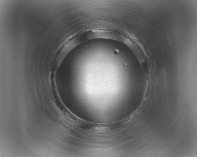 X0000053090154200507251614