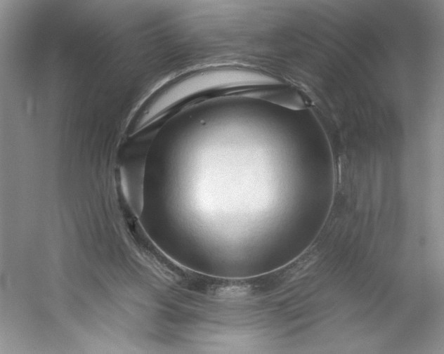 X0000053090156200507251614