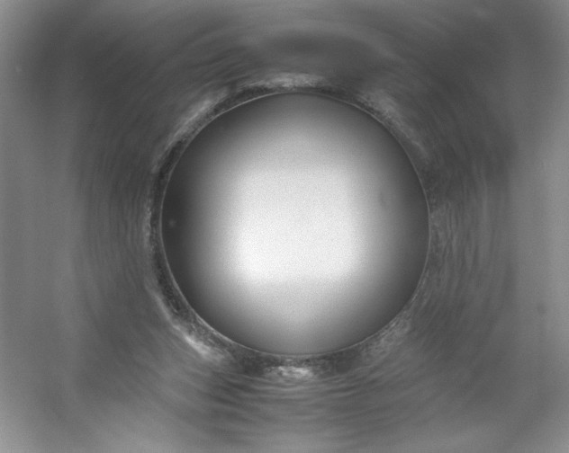 X0000053090159200507251614