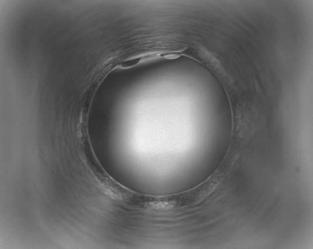 X0000053090161200507251614