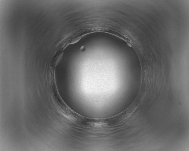 X0000053090165200507251614