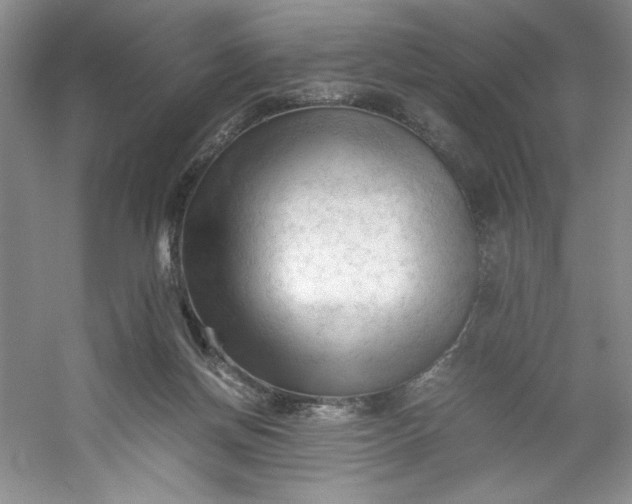 X0000053090166200507251614