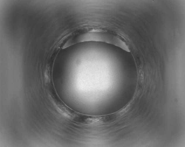 X0000053090170200507251614