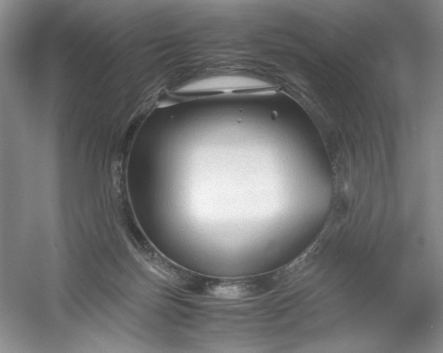 X0000053090171200507251614