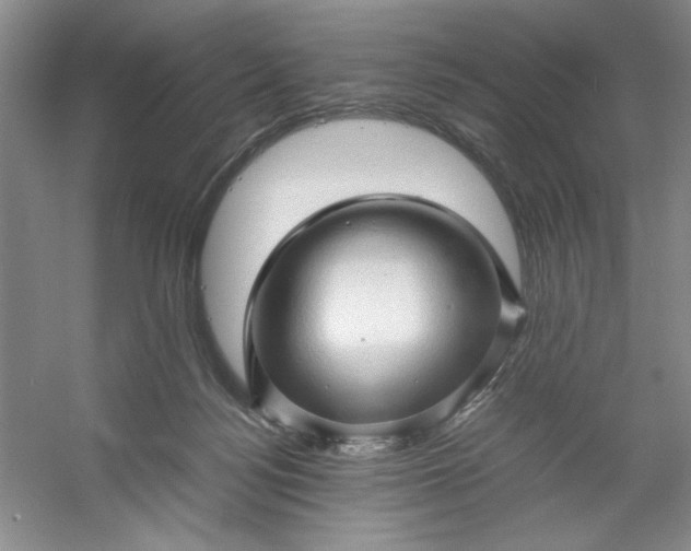 X0000053090172200507251614