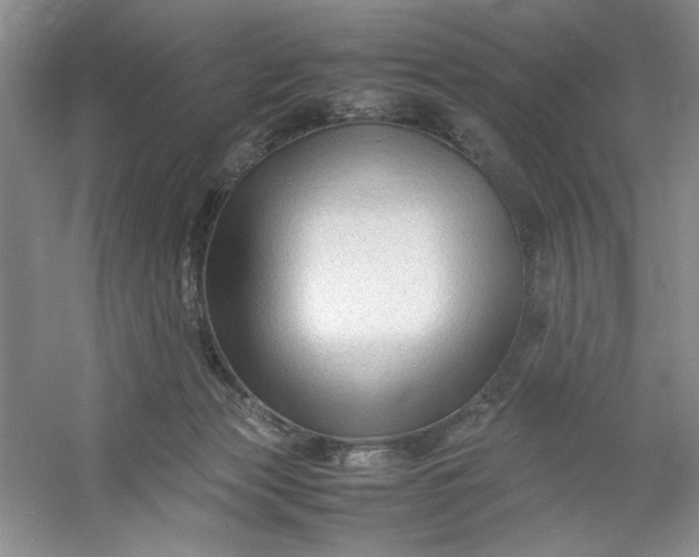 X0000053090173200507251614