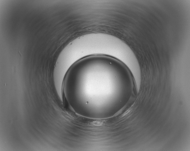 X0000053090176200507251614