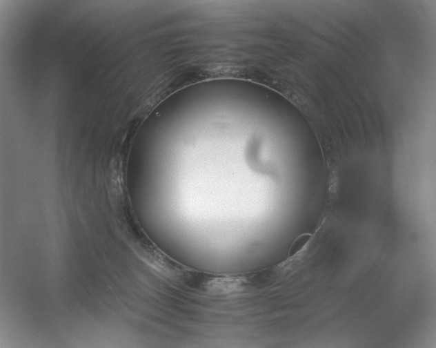 X0000053090179200507251614