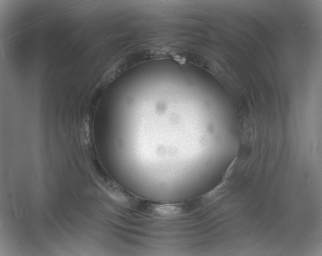 X0000053090183200507251614