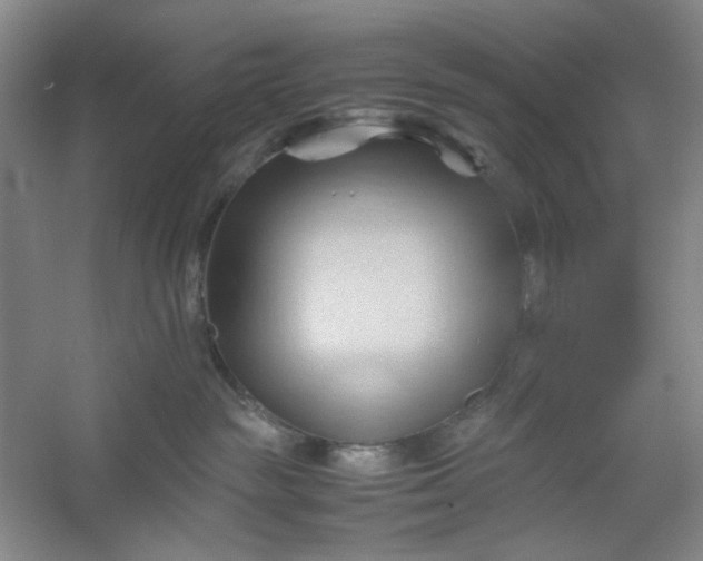 X0000053090189200507251614