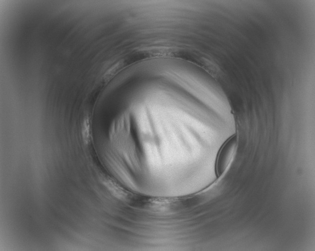 X0000053090190200507251614