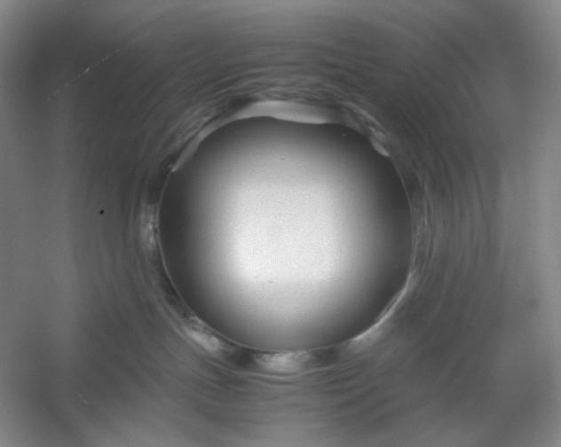 X0000053090191200507251614