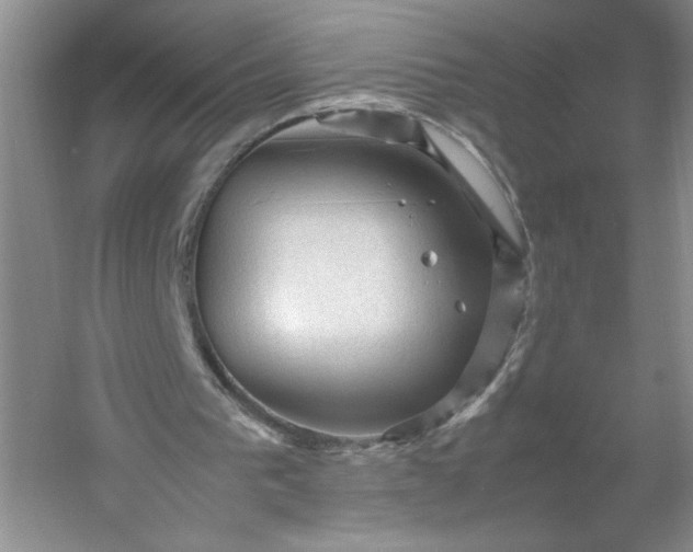 X0000053090193200507251613