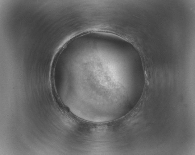 X0000053090196200507251613