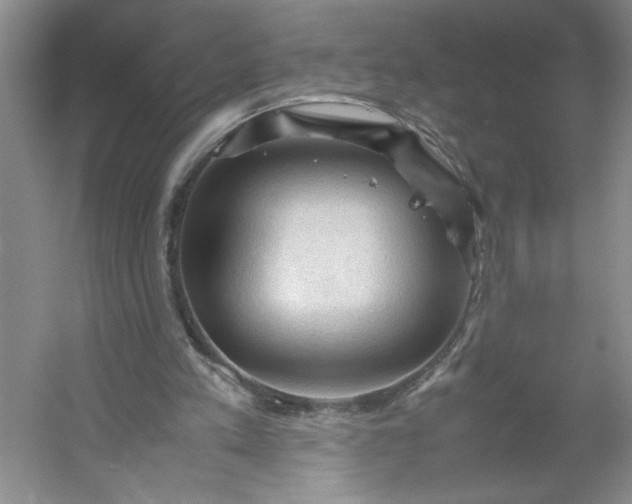 X0000053090197200507251613