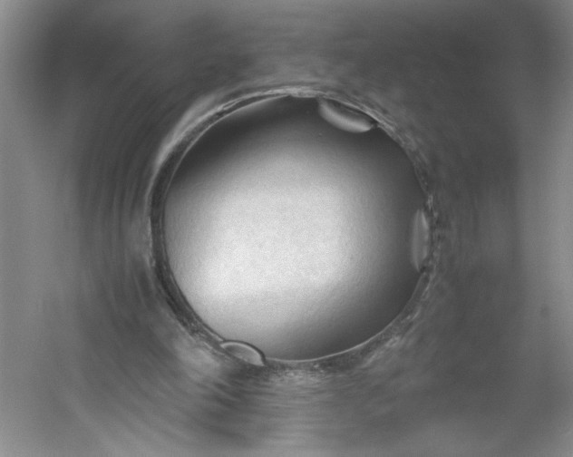 X0000053090198200507251613