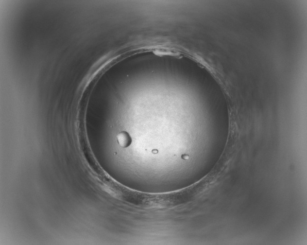 X0000053090199200507251613