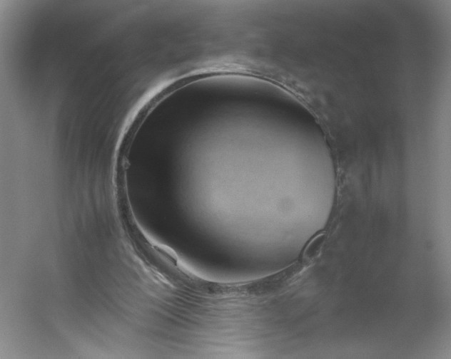 X0000053090200200507251613