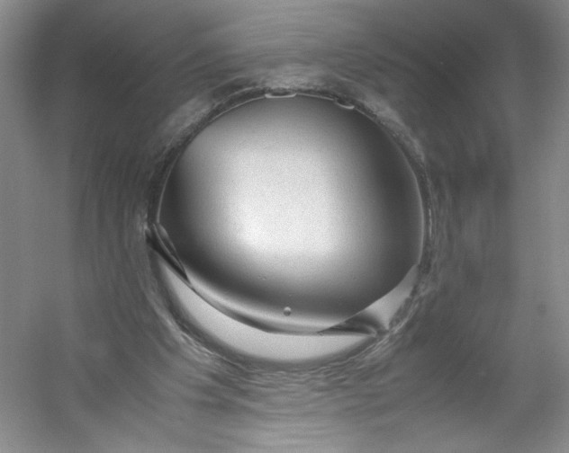 X0000053090201200507251613