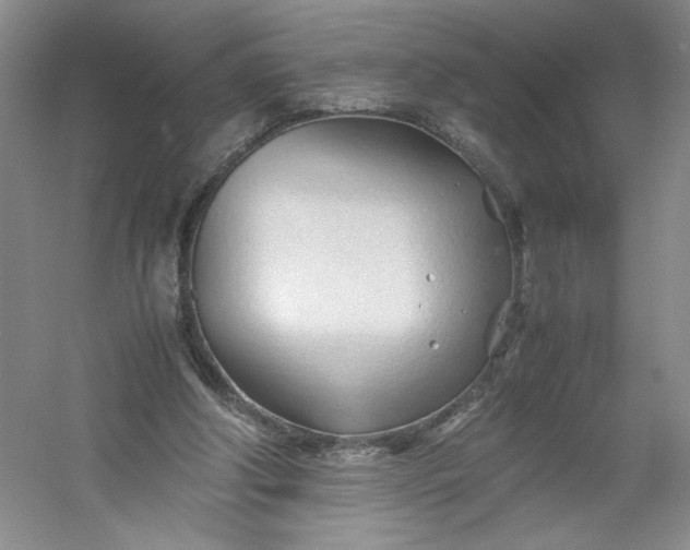 X0000053090202200507251613